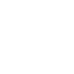 TELEMONT